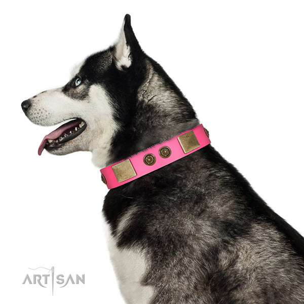 Easy adjustable dog collar crafted for your impressive doggie