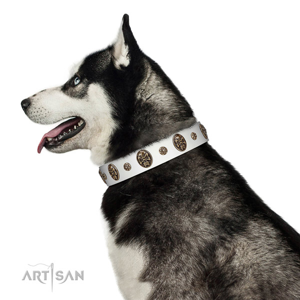 Comfy wearing dog collar of genuine leather with fashionable adornments