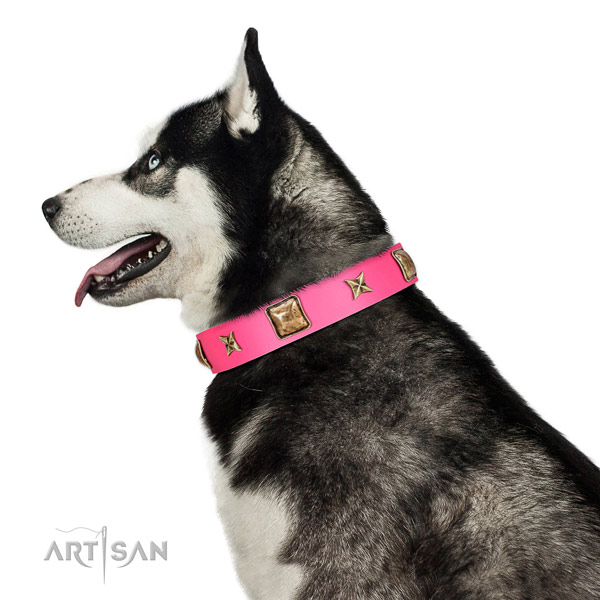 Genuine leather dog collar of top rate material with designer adornments
