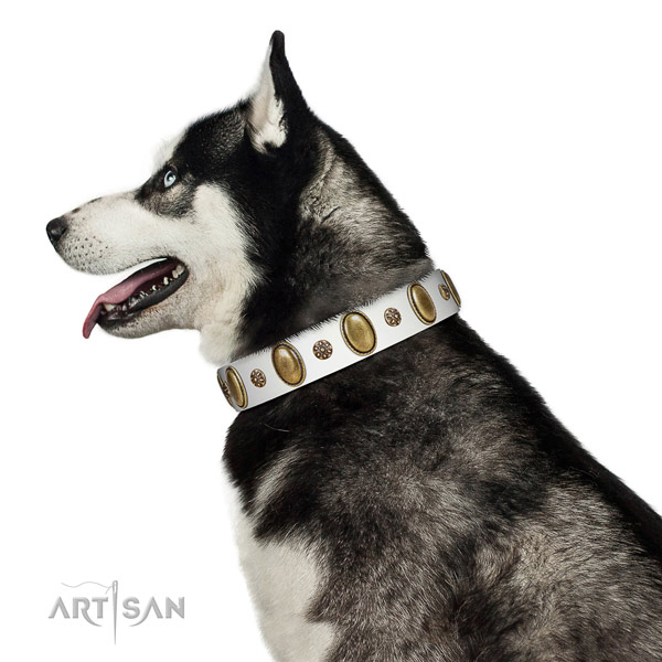 Fancy walking flexible full grain natural leather dog collar with adornments