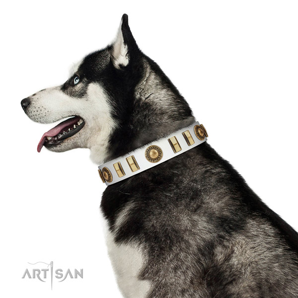 Easy wearing full grain natural leather dog collar with reliable D-ring