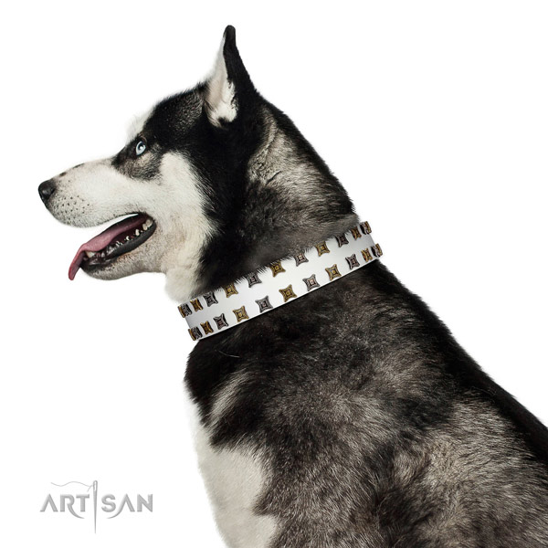 Best quality leather dog collar with decorations for your dog