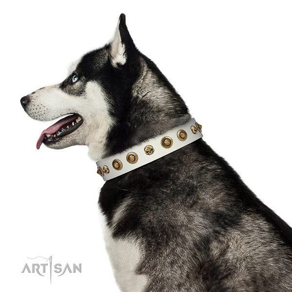 Soft leather dog collar with embellishments for your pet