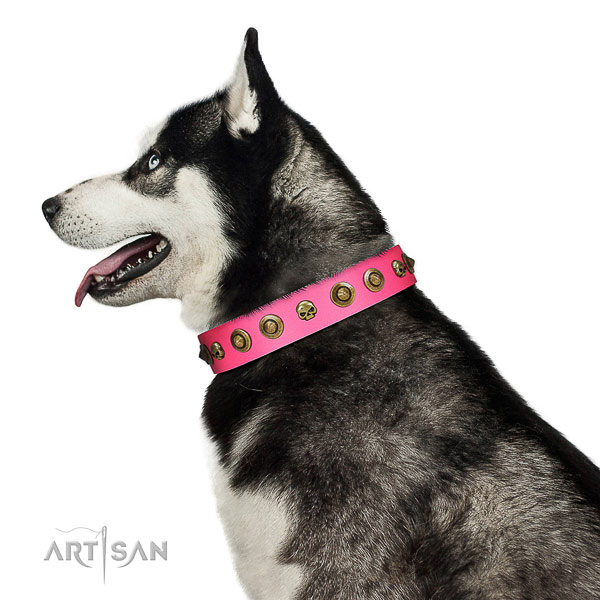 Stylish decorations on natural leather collar for your dog