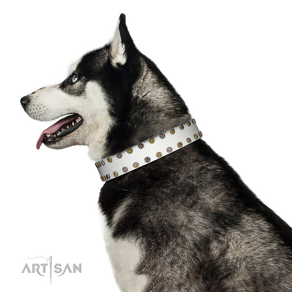 Stunning full grain leather dog collar with corrosion proof decorations