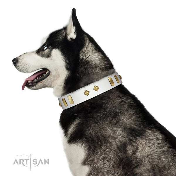 Comfortable wearing soft natural leather dog collar with decorations