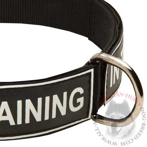 Patch Nylon Dog Collar Indestructible All Weather