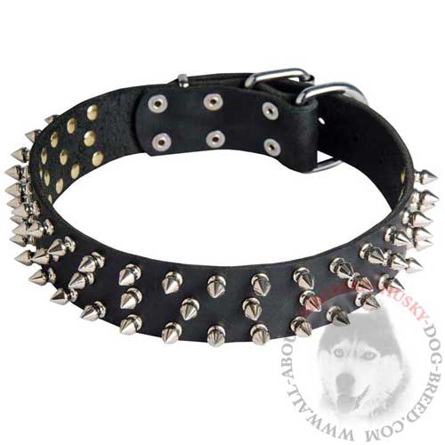 Spiked Leather Dog Collar for Siberian Husky Walking