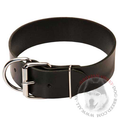 Super Comfortable Leather Dog Collar for Siberian Husky's Outings