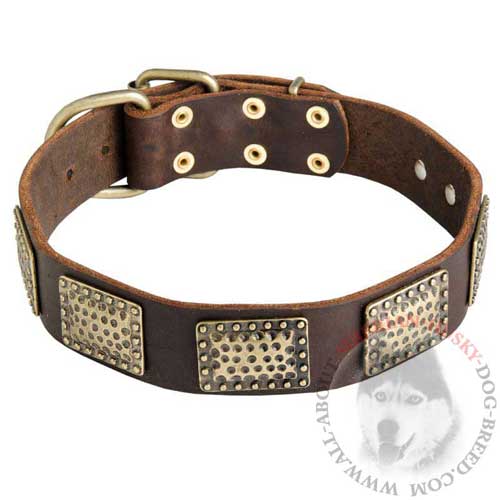 Leather Siberian Husky Collar with Massive Vintage Plates