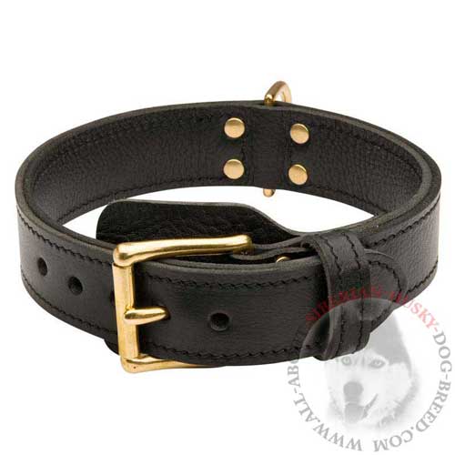 2 Ply Leather Dog Collar for Successful Training Siberian Husky