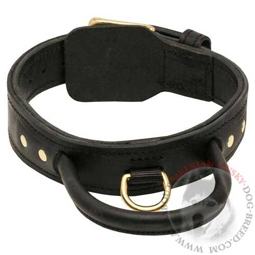 Practical Leather Siberian Husky Buckle Collar with Brass Hardware