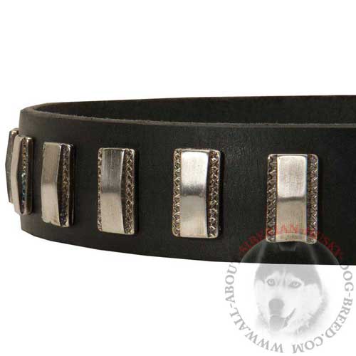 Nickel Plates Riveted to Siberian Husky Leather Collar