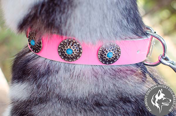 Pink Siberian Husky Collar with Silvery Circles and Blue Stones