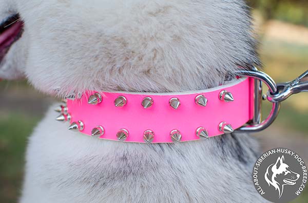 Stylish Walking  Leather Husky Collar with Cool Spikes