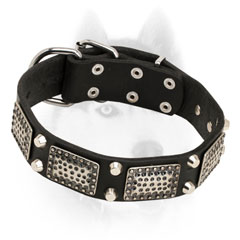 Luxury decorated leather Siberian Husky collar with old style nickel plates and studs