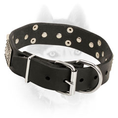 Luxury decorated leather collar with nickel hardware for Siberian Husky