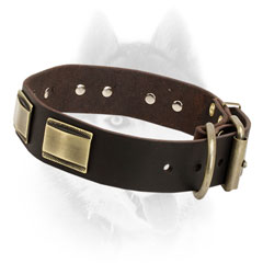Super strong brass fittings for Siberian Husky leather collar