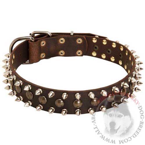 Fashion Leather Siberian Husky Collar for Walking