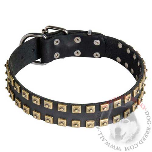 Studded Siberian Husky Collar