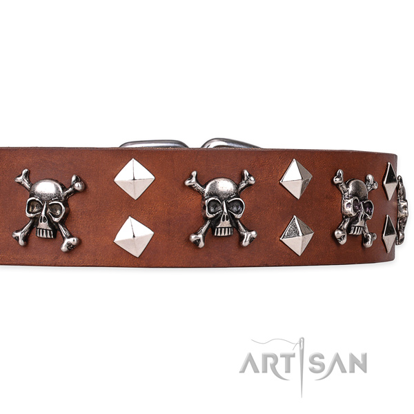 Everyday leather dog collar with refined adornments