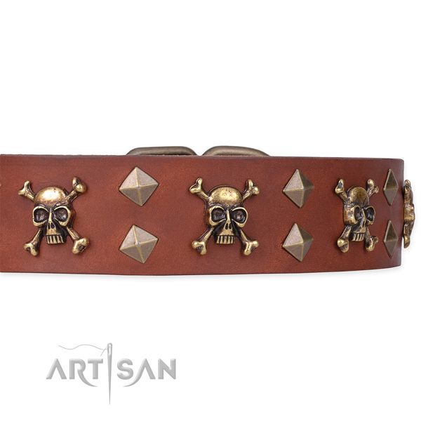 Genuine leather dog collar with pirate design