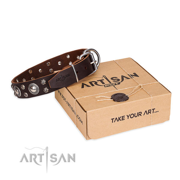 Casual leather dog collar with fancy decorations