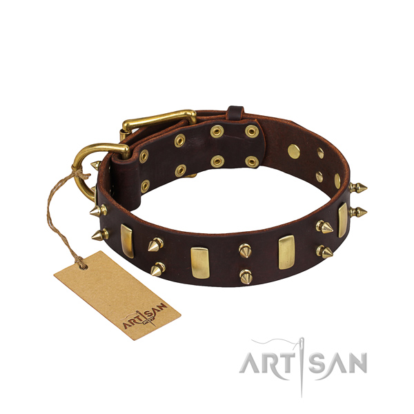 Natural leather dog collar with thoroughly polished finish
