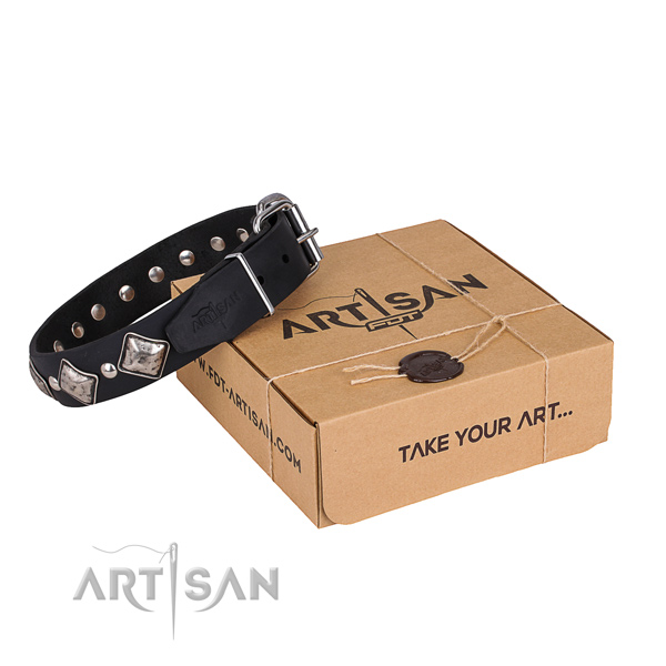 Daily leather dog collar with incredible adornments