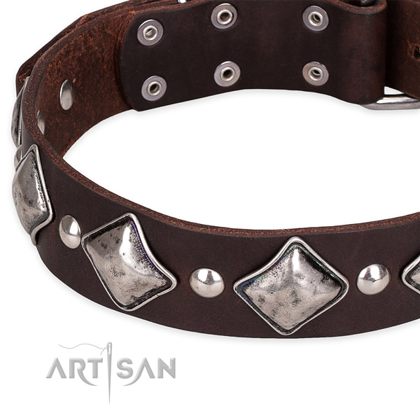 Quick to fasten leather dog collar with extra strong durable hardware