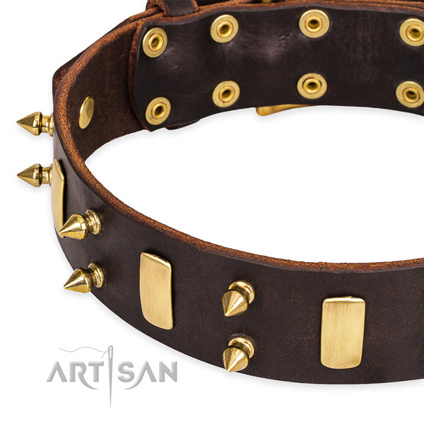Snugly fitted leather dog collar with resistant to tear and wear rust-proof hardware