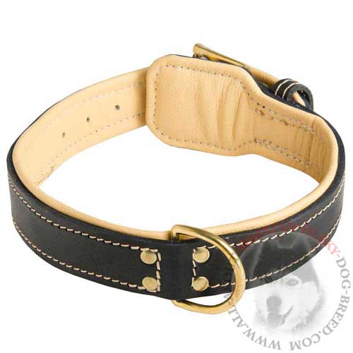 Leather Siberian Husky Collar Nappa Padded