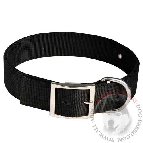 Identification Nylon Dog Collar with Easy Release Buckle for Siberian Husky