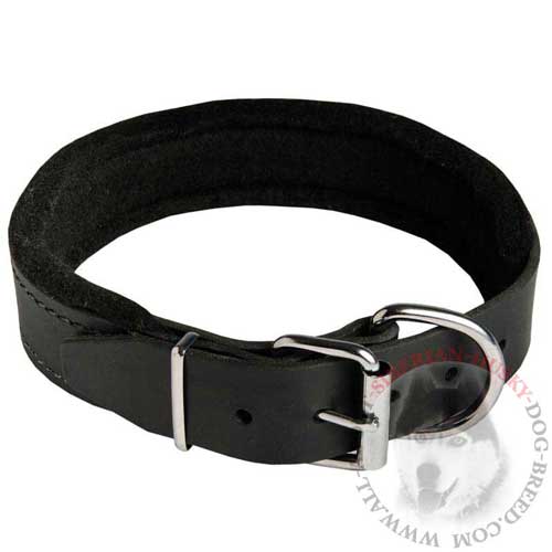 Buckle Leather Collar Padded for Siberian Husky