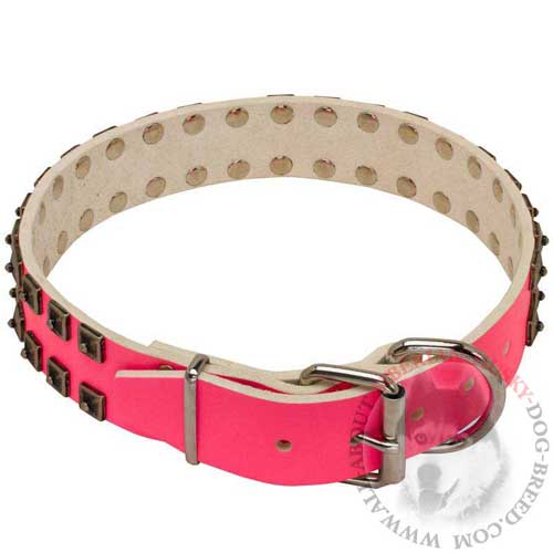 Siberian Husky Leather Dog Collar with Studs