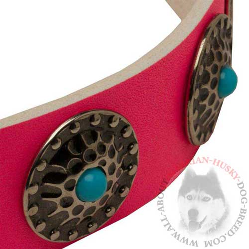 Studs and Blue Stones on Siberian Husky Walking Leather Collar