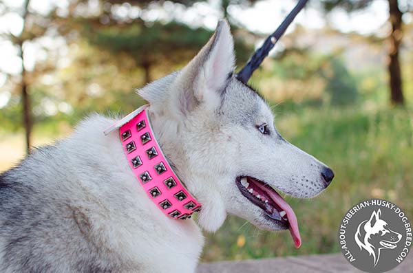 Female Leather Dog Collar with Look Rusted Square Studs