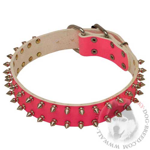 Leather Siberian Husky Collar Pink 2 Rows Spiked