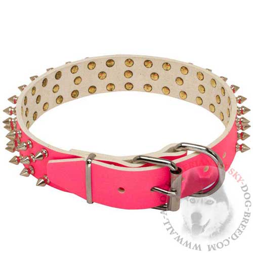 Buckle Leather Collar