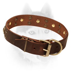 Leather Siberian Husky Collar     Decorated with Brass Studs and Circles