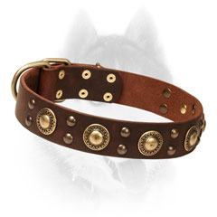 Firm Leather Siberian Husky Collar Decorated     with Brass Circles