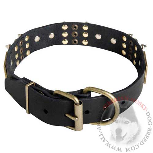 Siberian Husky Studded Leather Collar with Brass Plates and Rivets