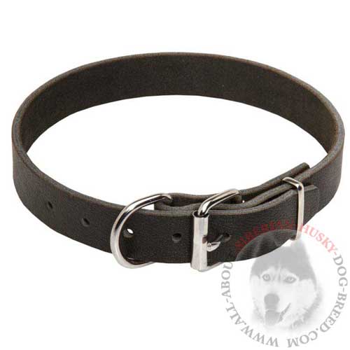 Leather Buckle Dog Collar for Siberian Husky