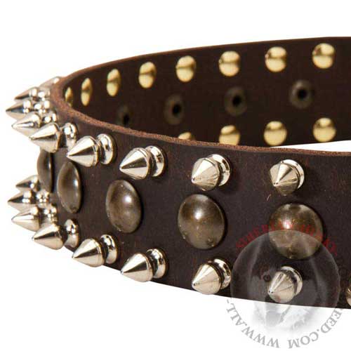 Spiked and Studded Leather Dog Collar for Siberian Husky