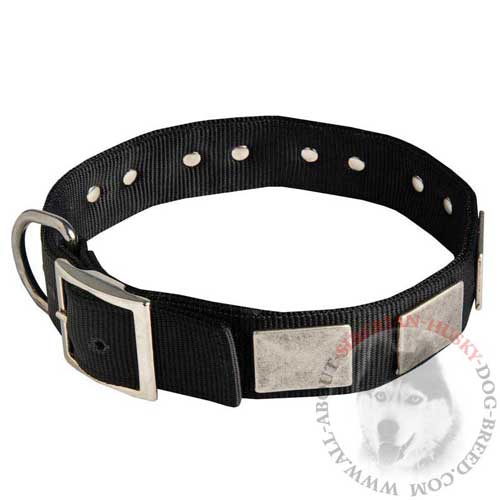 Nylon Siberian Husky Collar with large Plates