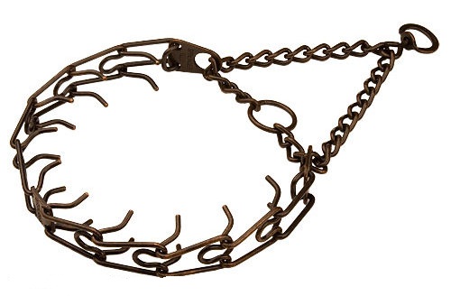 Siberian Husky pinch collar of steel and antique copper