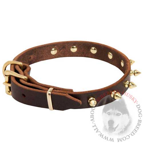 Brown Leather Siberian Husky Collar with Goldish Spikes