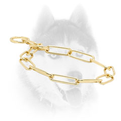 Siberian Husky training Collar of finest quality