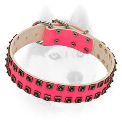 Elegant leather pink collar for she-Siberian Husky