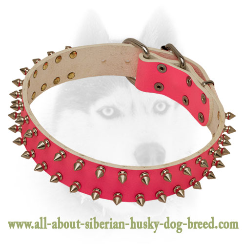 Fancy pink Leather Collar